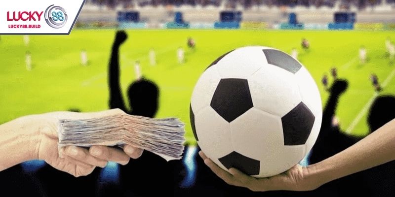 Anh em hãy theo dõi biến động tỷ lệ 