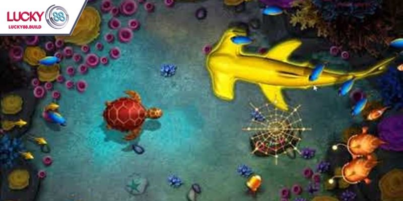 Phân tích điểm số cụ thể của từng loài cá